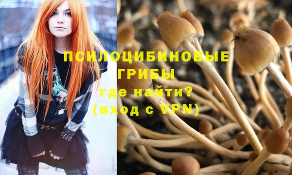 гидропоника Алзамай